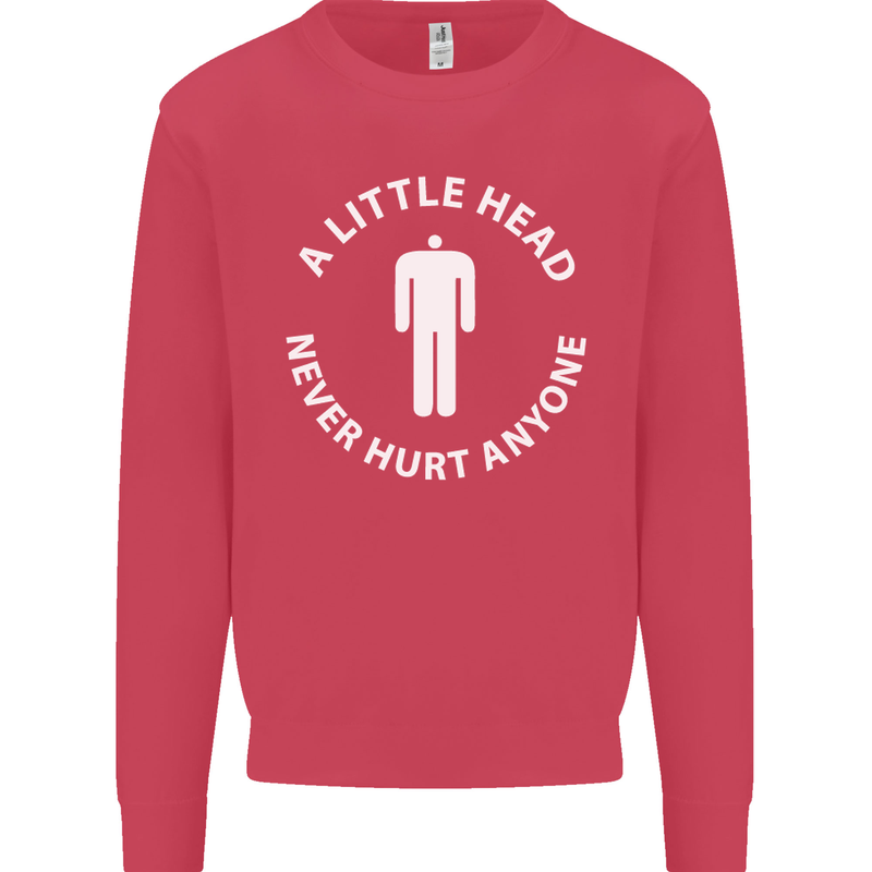 A Little Head Funny Offensive Slogan Mens Sweatshirt Jumper Heliconia