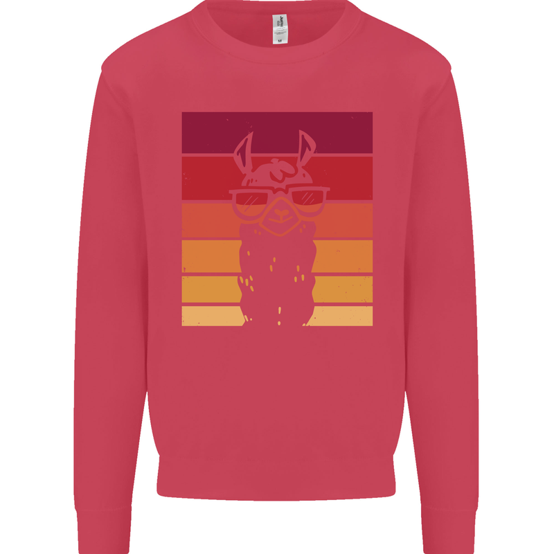 A Llama Wearing Shades Kids Sweatshirt Jumper Heliconia