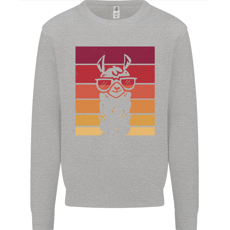 A Llama Wearing Shades Kids Sweatshirt Jumper Sports Grey