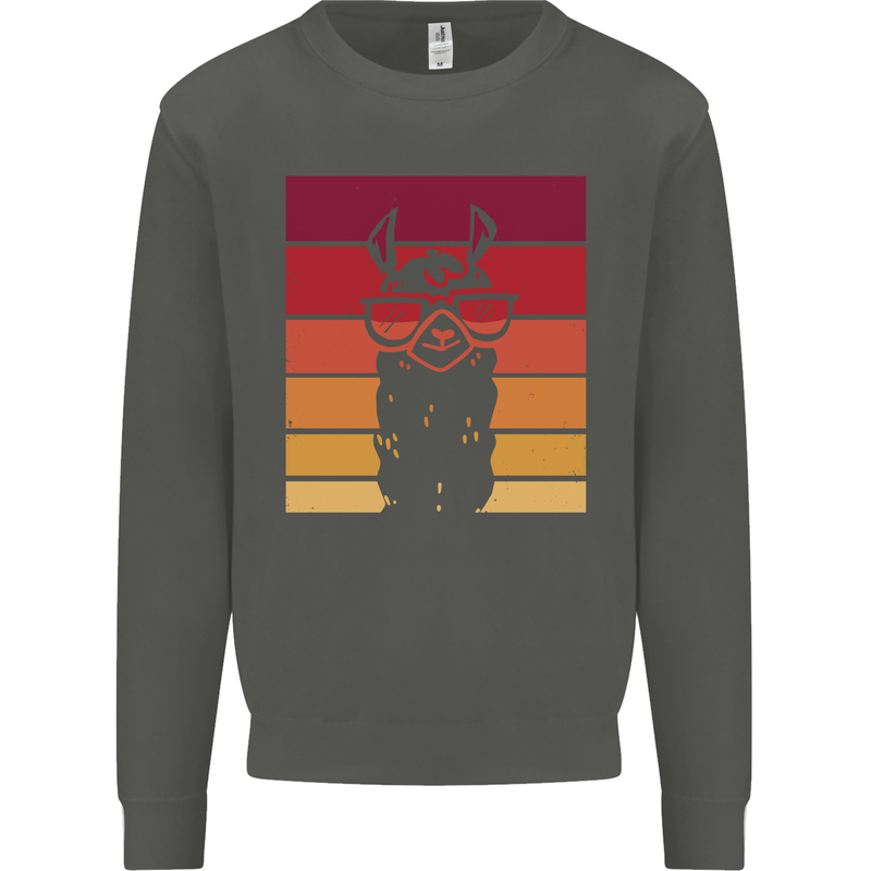 A Llama Wearing Shades Kids Sweatshirt Jumper Storm Grey