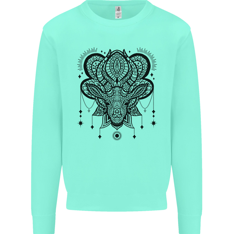 A Mandala Deer Kids Sweatshirt Jumper Peppermint