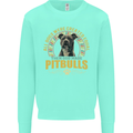 A Pitbull Dog Kids Sweatshirt Jumper Peppermint