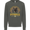 A Pitbull Dog Kids Sweatshirt Jumper Storm Grey