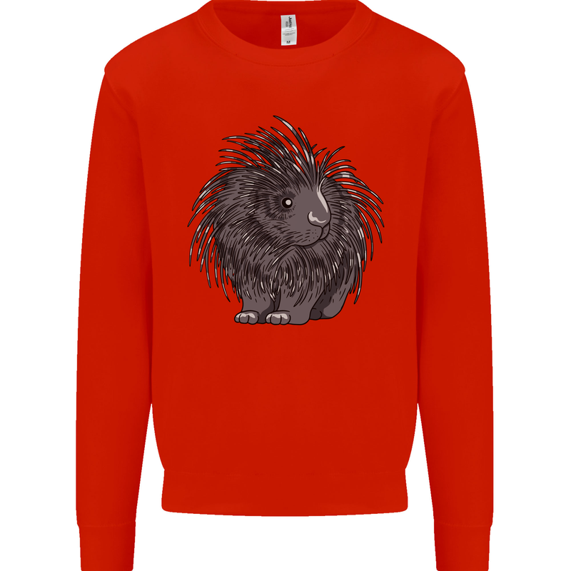 A Porcupine Kids Sweatshirt Jumper Bright Red