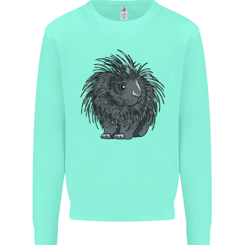 A Porcupine Kids Sweatshirt Jumper Peppermint