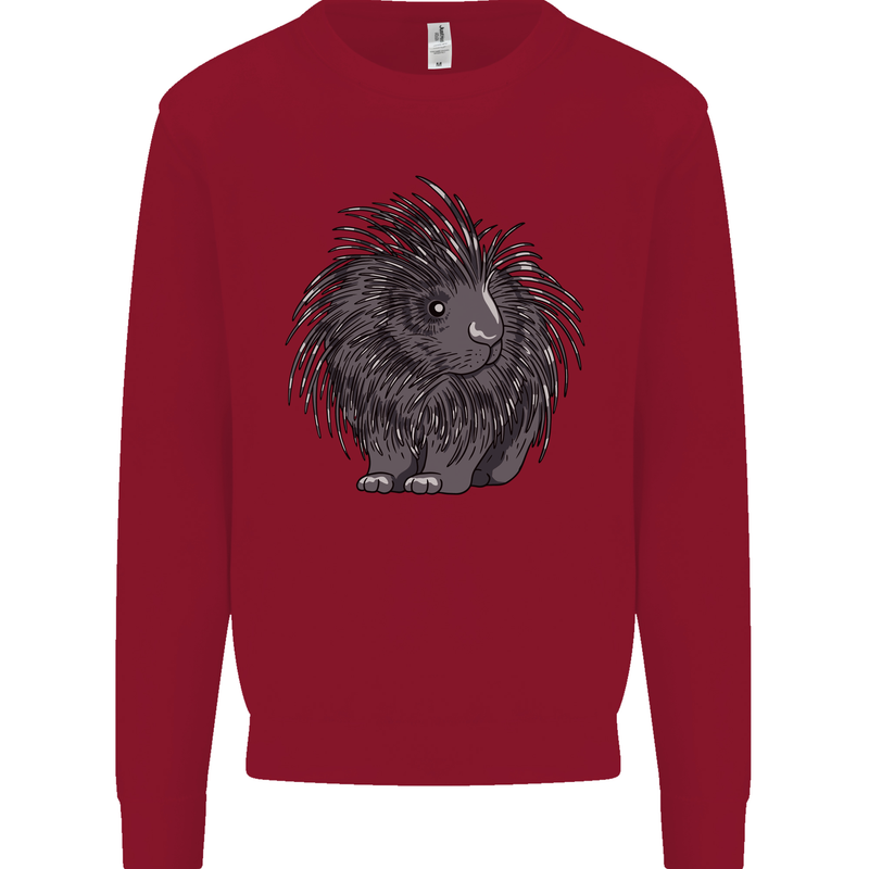 A Porcupine Kids Sweatshirt Jumper Red