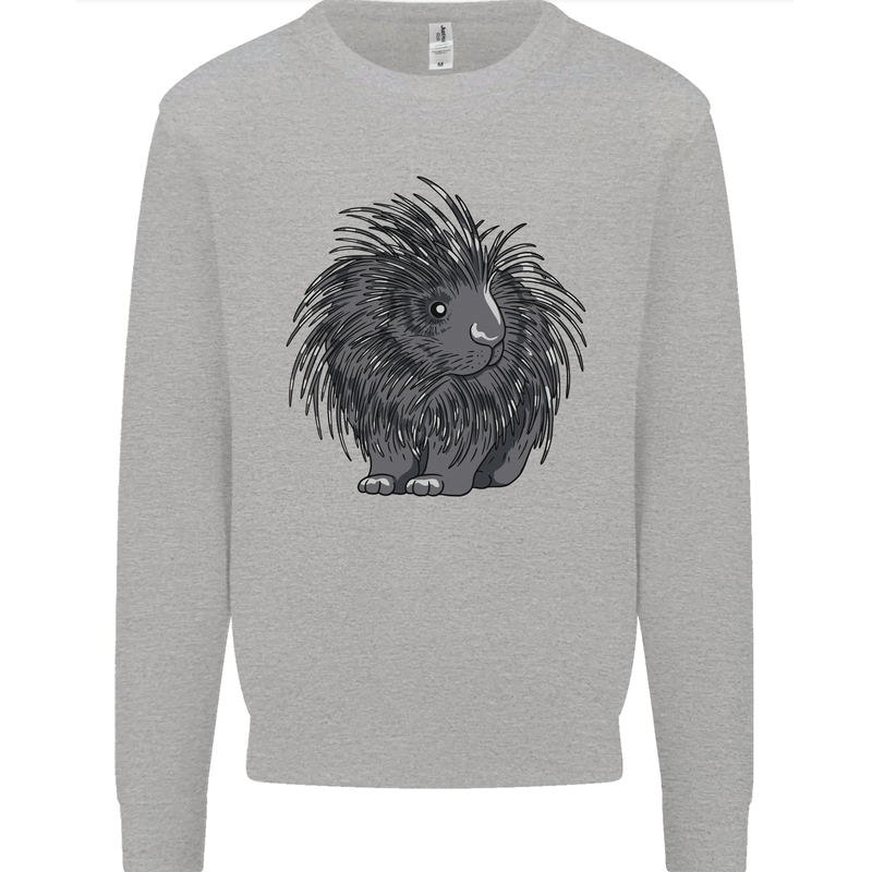 A Porcupine Kids Sweatshirt Jumper Sports Grey