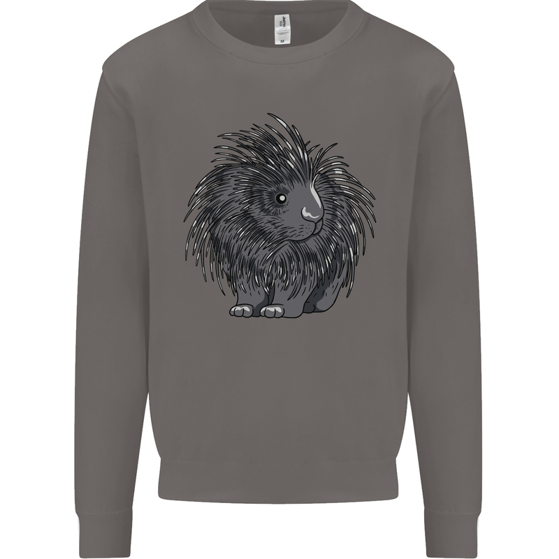 A Porcupine Mens Sweatshirt Jumper Charcoal