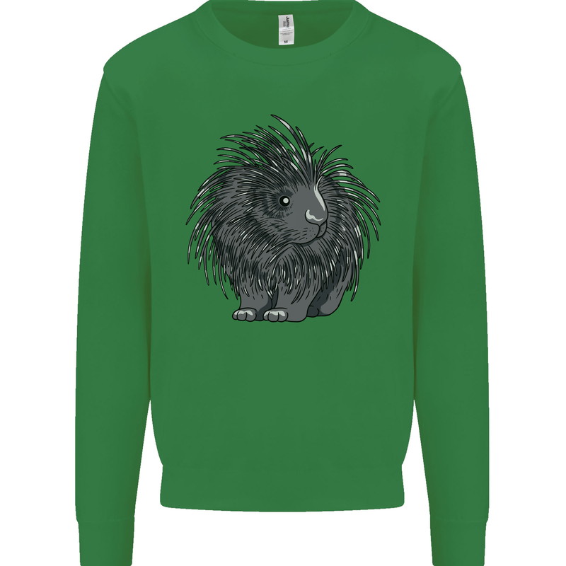 A Porcupine Mens Sweatshirt Jumper Irish Green