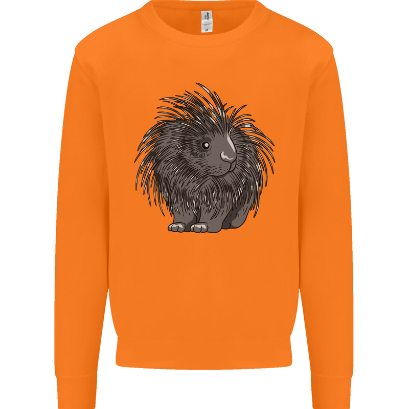A Porcupine Mens Sweatshirt Jumper Orange
