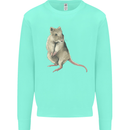A Potoroo Kids Sweatshirt Jumper Peppermint