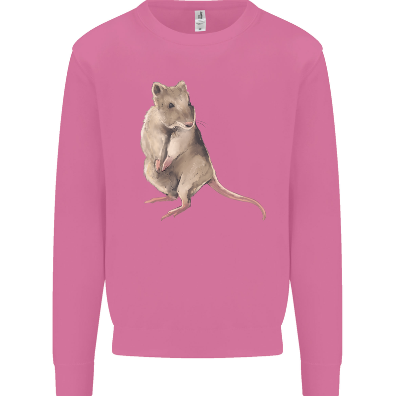 A Potoroo Mens Sweatshirt Jumper Azalea