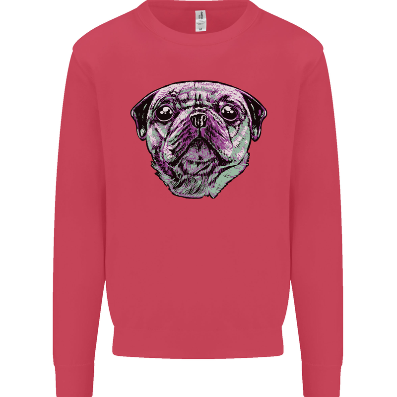 A Pug Face Dog Kids Sweatshirt Jumper Heliconia