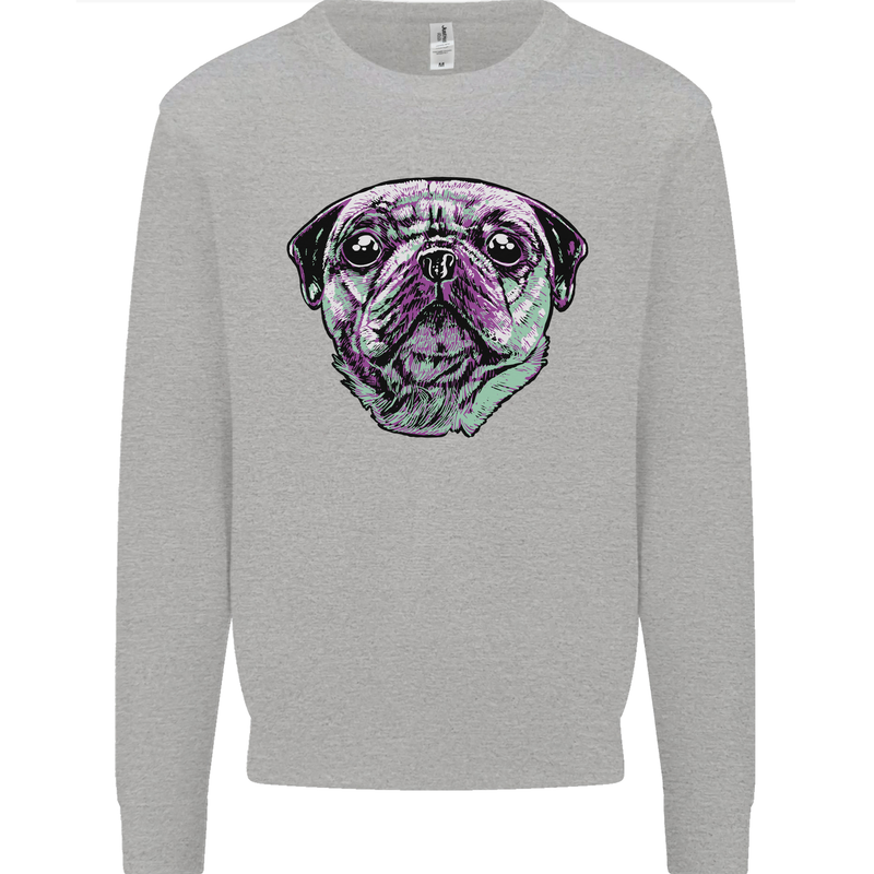 A Pug Face Dog Kids Sweatshirt Jumper Sports Grey