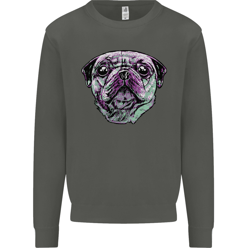 A Pug Face Dog Kids Sweatshirt Jumper Storm Grey