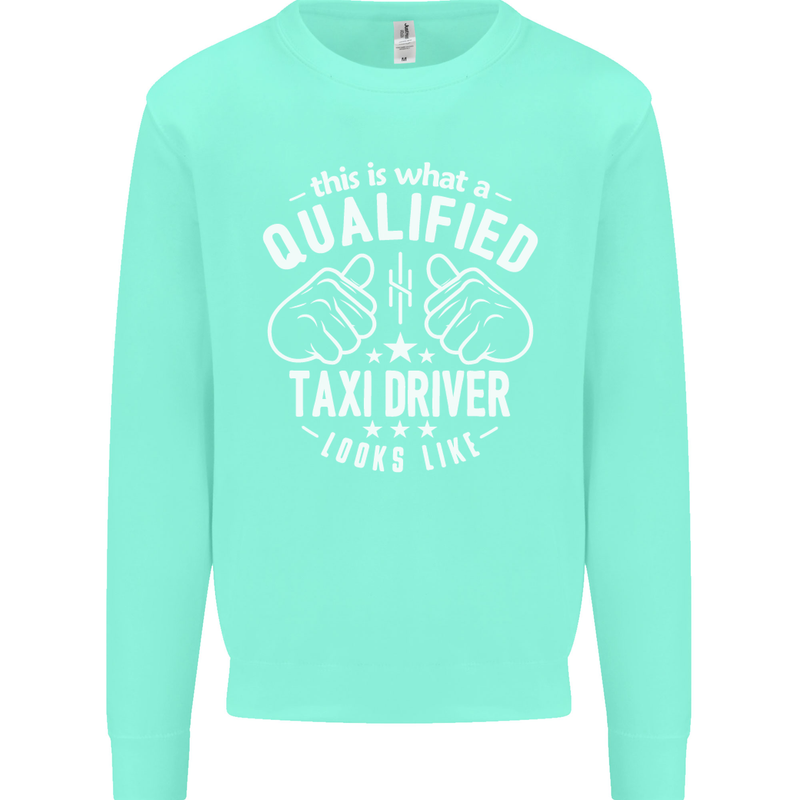 A Qualified Taxi Driver Looks Like Mens Sweatshirt Jumper Peppermint