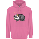 A Sleeping Badger Childrens Kids Hoodie Azalea