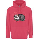 A Sleeping Badger Childrens Kids Hoodie Heliconia