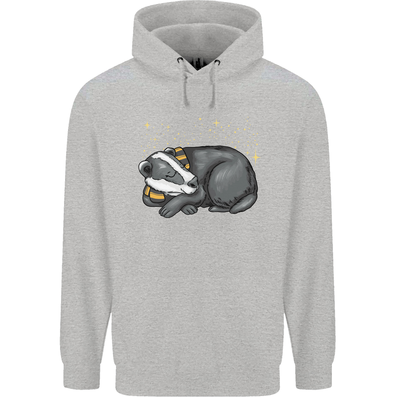 A Sleeping Badger Childrens Kids Hoodie Sports Grey