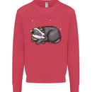 A Sleeping Badger Kids Sweatshirt Jumper Heliconia