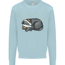 A Sleeping Badger Kids Sweatshirt Jumper Light Blue
