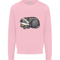A Sleeping Badger Kids Sweatshirt Jumper Light Pink