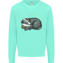 A Sleeping Badger Kids Sweatshirt Jumper Peppermint