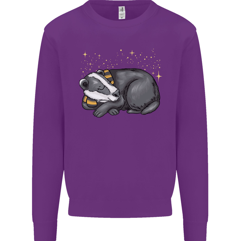A Sleeping Badger Kids Sweatshirt Jumper Purple