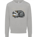 A Sleeping Badger Kids Sweatshirt Jumper Sports Grey