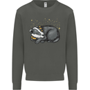 A Sleeping Badger Kids Sweatshirt Jumper Storm Grey
