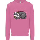 A Sleeping Badger Mens Sweatshirt Jumper Azalea