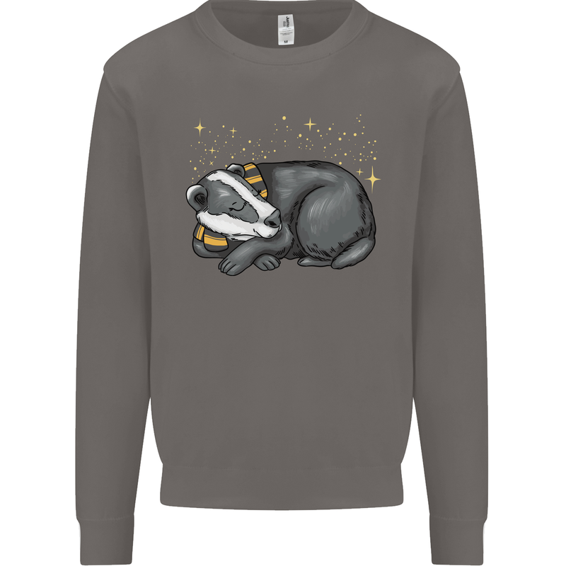 A Sleeping Badger Mens Sweatshirt Jumper Charcoal