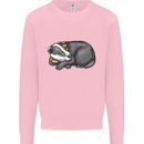 A Sleeping Badger Mens Sweatshirt Jumper Light Pink