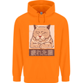 A Tired Cat Childrens Kids Hoodie Orange