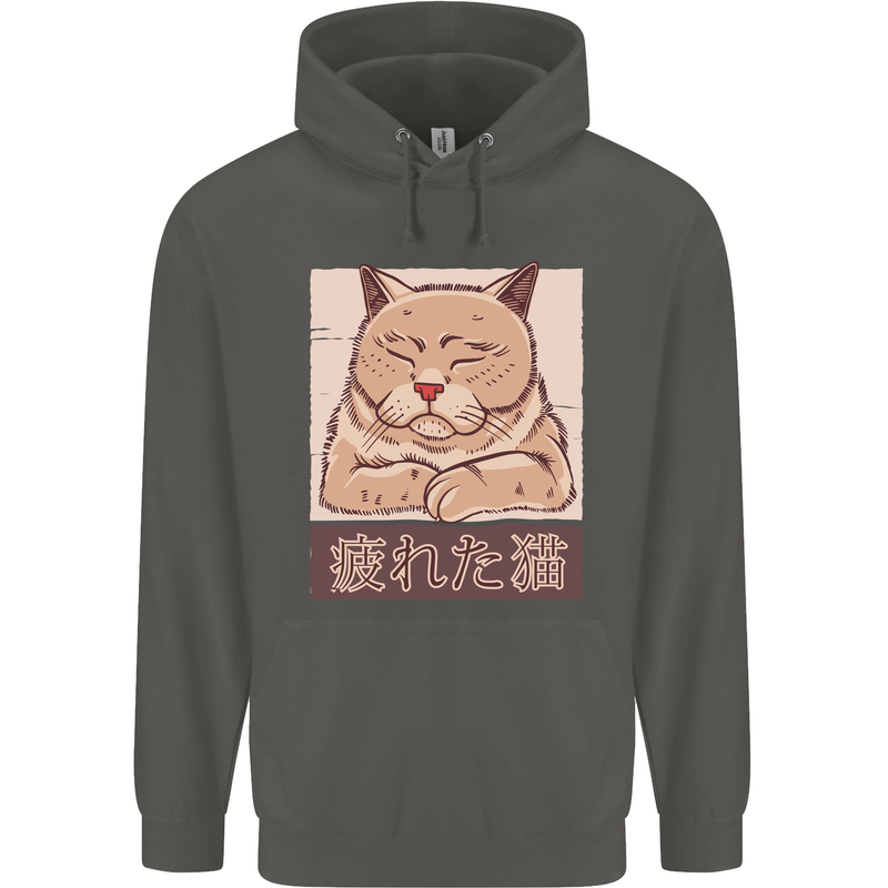 A Tired Cat Childrens Kids Hoodie Storm Grey