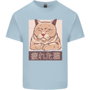 A Tired Cat Kids T-Shirt Childrens Light Blue