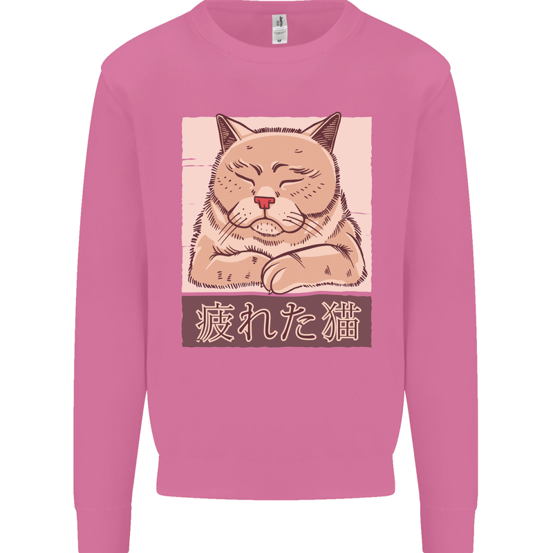 A Tired Cat Mens Sweatshirt Jumper Azalea