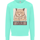 A Tired Cat Mens Sweatshirt Jumper Peppermint