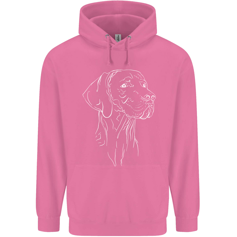 A Weimaraner Face Childrens Kids Hoodie Azalea