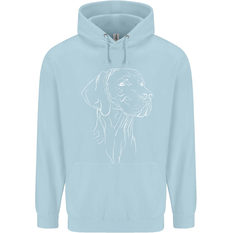 A Weimaraner Face Childrens Kids Hoodie Light Blue