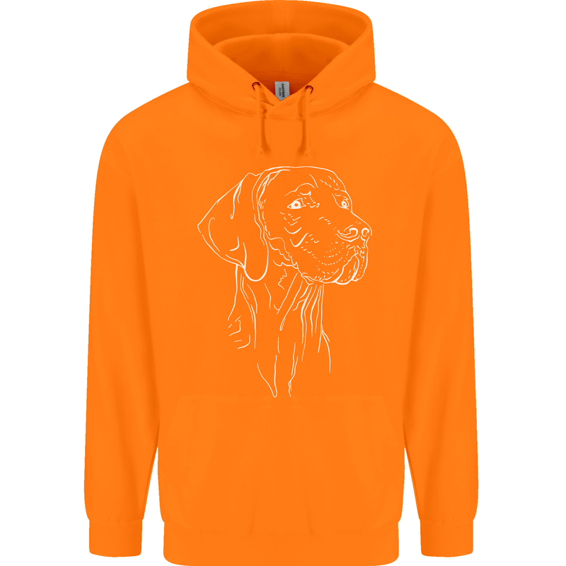 A Weimaraner Face Childrens Kids Hoodie Orange