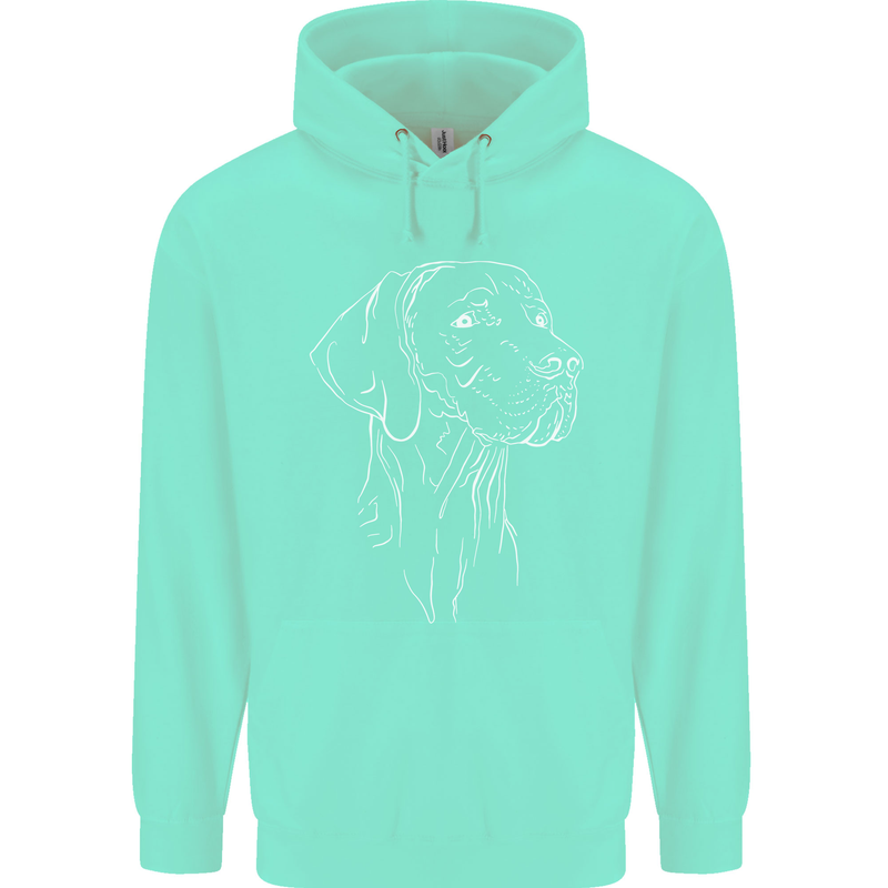 A Weimaraner Face Childrens Kids Hoodie Peppermint