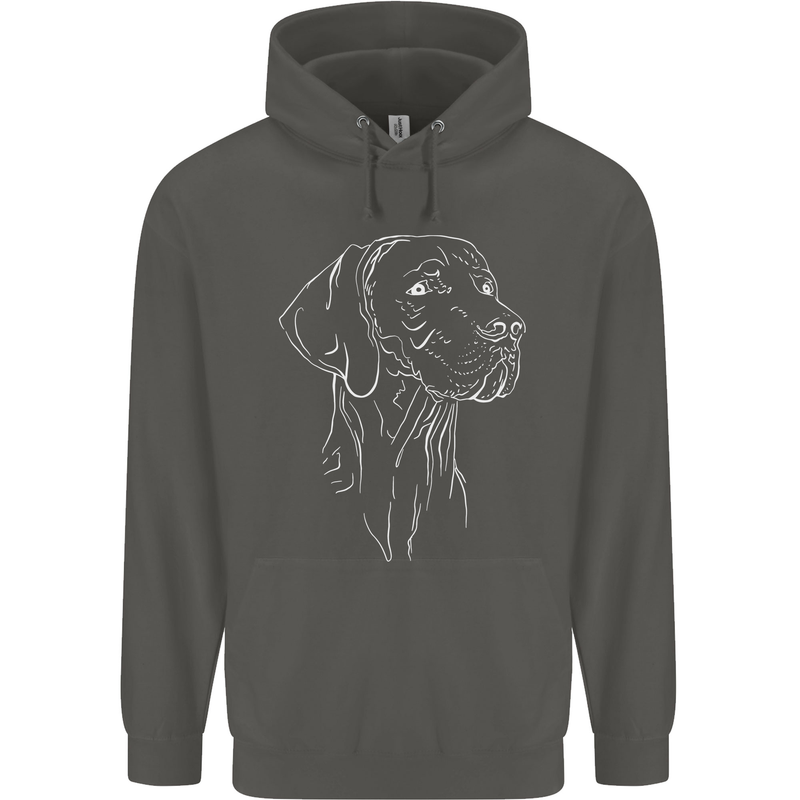 A Weimaraner Face Childrens Kids Hoodie Storm Grey