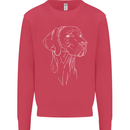 A Weimaraner Face Kids Sweatshirt Jumper Heliconia