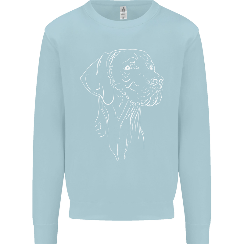 A Weimaraner Face Kids Sweatshirt Jumper Light Blue