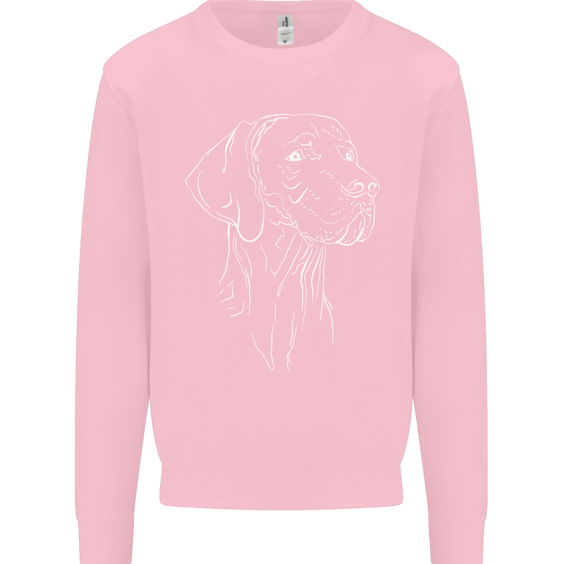 A Weimaraner Face Kids Sweatshirt Jumper Light Pink