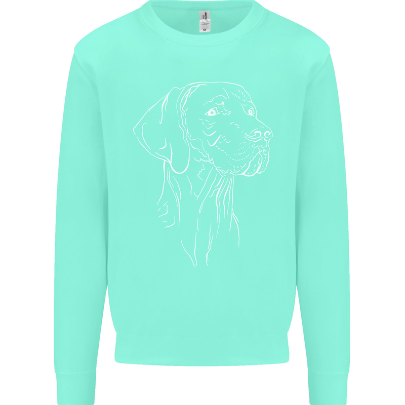 A Weimaraner Face Kids Sweatshirt Jumper Peppermint