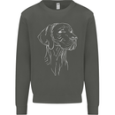A Weimaraner Face Kids Sweatshirt Jumper Storm Grey