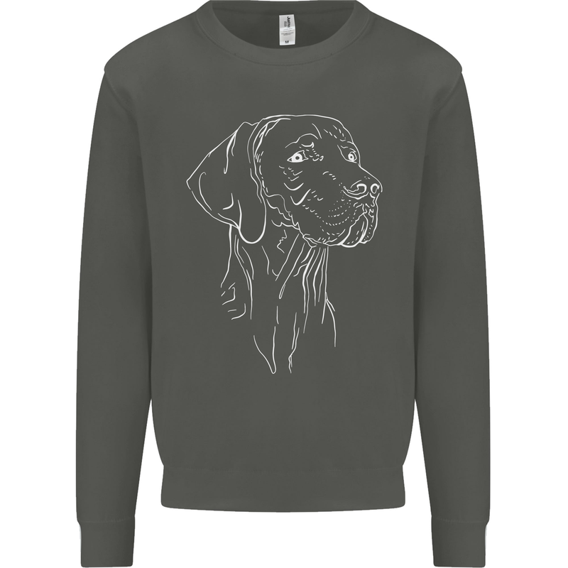A Weimaraner Face Kids Sweatshirt Jumper Storm Grey