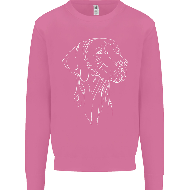 A Weimaraner Face Mens Sweatshirt Jumper Azalea